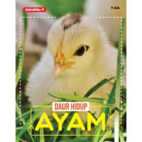 Image of Daur Hidup Ayam