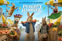 Peter Rabbit 2 : CD - Rom